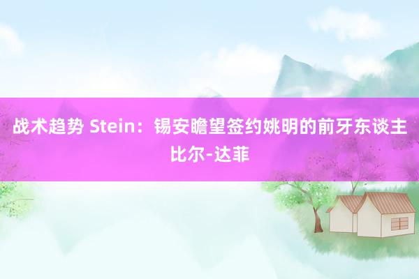 战术趋势 Stein：锡安瞻望签约姚明的前牙东谈主比尔-达菲