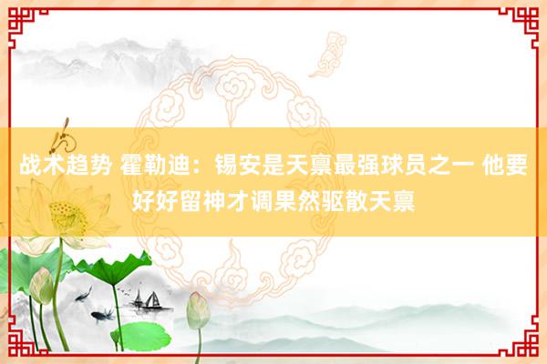 战术趋势 霍勒迪：锡安是天禀最强球员之一 他要好好留神才调果然驱散天禀