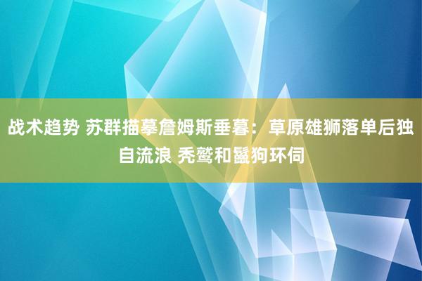 战术趋势 苏群描摹詹姆斯垂暮：草原雄狮落单后独自流浪 秃鹫和鬣狗环伺